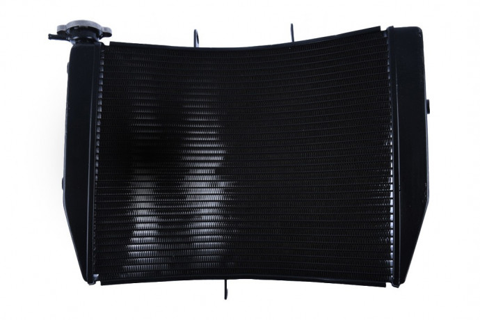 Original-Typ-Version