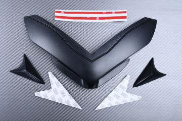 Ailerons Spoiler KAWASAKI Z900 2017 - 2021