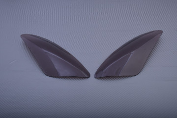 Scheinwerferabdeckung Typ Road YAMAHA YZF R1 2002 - 2003 Scheinwerferabdeckung Typ Road YAMAHA YZF R1 2002 - 2003