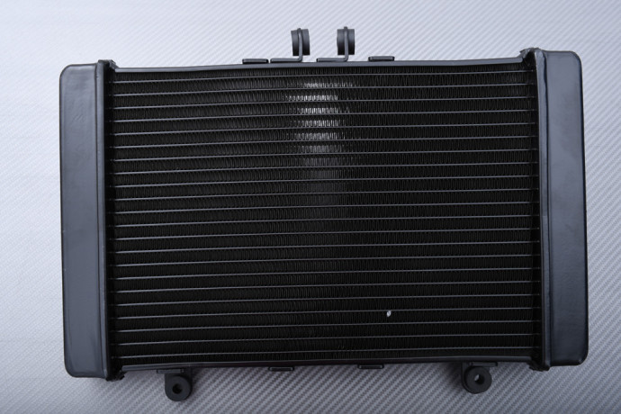 Radiateur HONDA Big One CB 1000 1993 - 1999