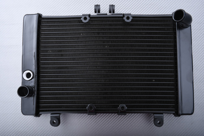 Radiateur HONDA Big One CB 1000 1993 - 1999