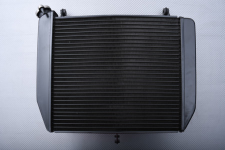 Radiador YAMAHA YZF R1 2002 - 2003