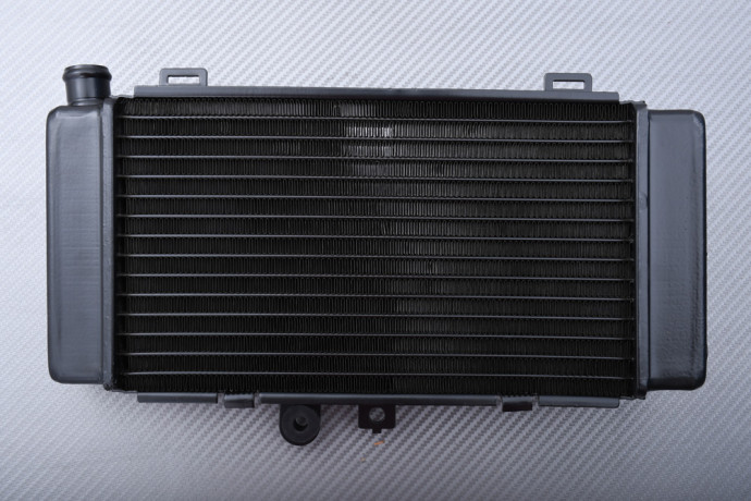 Radiator HONDA Hornet 250 1996 - 2007