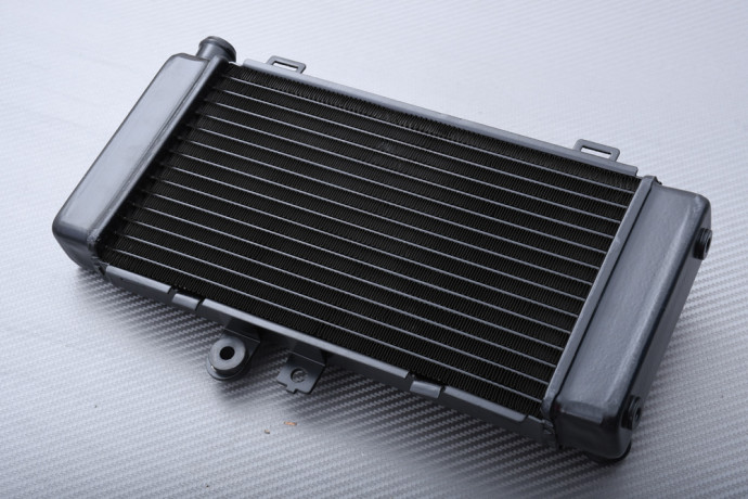 Radiator HONDA Hornet 250 1996 - 2007