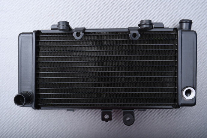 Radiator HONDA Hornet 250 1996 - 2007