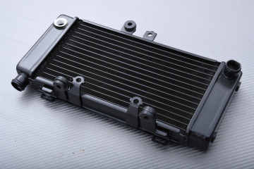 Radiator HONDA Hornet 250 1996 - 2007