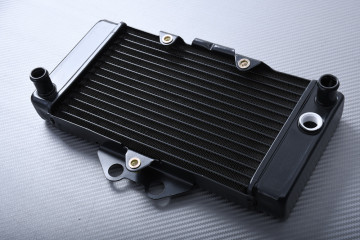 Radiatore HONDA VTR 250 1998 - 2008 Radiatore HONDA VTR 250 1998 - 2008