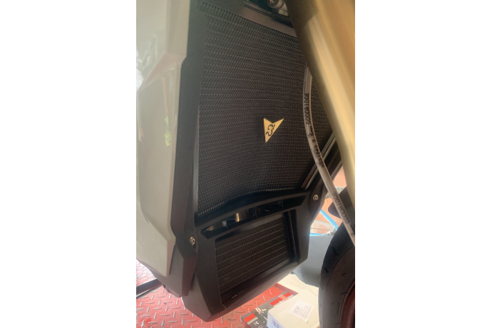 Kühlergrills- Abdeckung AVDB BMW S1000RR / M1000RR / S1000XR / S1000R / M1000R 2019 - 2023