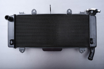 Kühler KAWASAKI Z650 / NINJA 650 R 2017 - 2024 Kühler KAWASAKI Z650 / NINJA 650 R 2017 - 2024