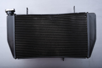 Radiador DUCATI SBK 848 / 1098 / 1198 2007 - 2012