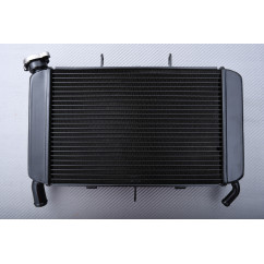 Radiador YAMAHA XJ6 / DIVERSION 600 / F / FZ6R 2009 - 2017