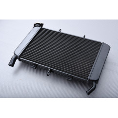 Kühler YAMAHA XJ6 / DIVERSION 600 / F / FZ6R 2009 - 2017