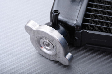 Radiator YAMAHA XJ6 / DIVERSION 600 / F / FZ6R 2009 - 2017 Radiator YAMAHA XJ6 / DIVERSION 600 / F / FZ6R 2009 - 2017