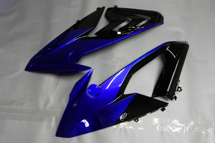 Komplette Motorradverkleidung BMW S1000RR 2015 - 2018