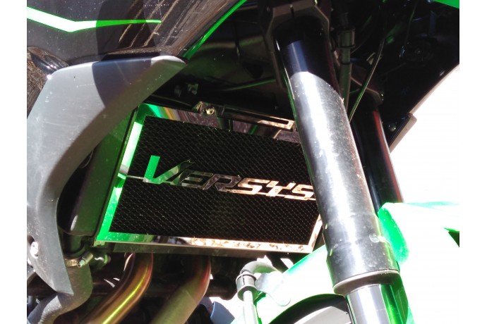 Kühlergrill- Abdeckung KAWASAKI Versys 650 2015 - 2023 Kühlergrill- Abdeckung KAWASAKI Versys 650 2015 - 2023