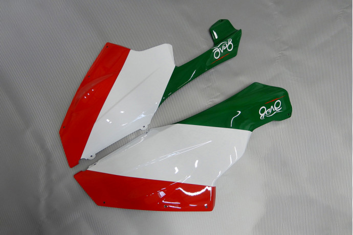 Komplette Motorradverkleidung APRILIA RS 125 2006 - 2011