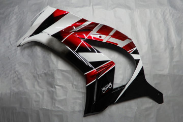 Carenado completo KAWASAKI ZX10R 2011 - 2015 Carenado completo KAWASAKI ZX10R 2011 - 2015