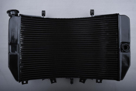 Radiador SUZUKI GSXR 1000 2001 - 2002