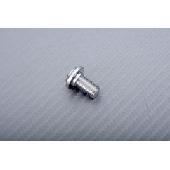 Titan Bremsscheibenschraube hinten spezifisch für DUCATI M8 X P1.00 X 13 MM