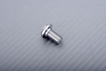 Titanium Screw for Rear Brake Disc specific for DUCATI M8 X P1.00 X 13 MM