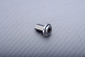 Vite Titanio per Disco Freno Posteriore specifica per DUCATI M8 X P1.00 X 13 MM