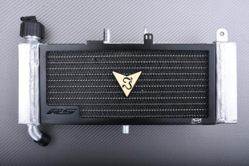 Radiateur APRILIA TUONO / RS4 / DERBI GPR 50 125 2009 - 2024