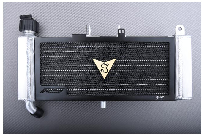 Radiateur APRILIA TUONO / RS4 / DERBI GPR 50 125 2009 - 2024