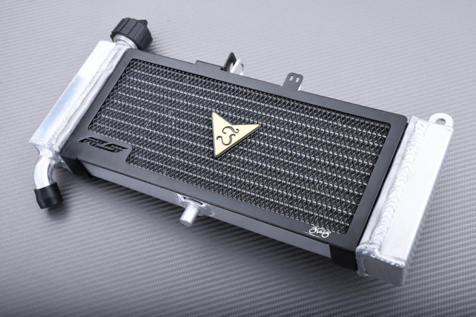 Radiateur APRILIA TUONO / RS4 / DERBI GPR 50 125 2009 - 2024