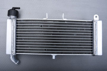 Radiateur APRILIA TUONO / RS4 / DERBI GPR 50 125 2009 - 2022