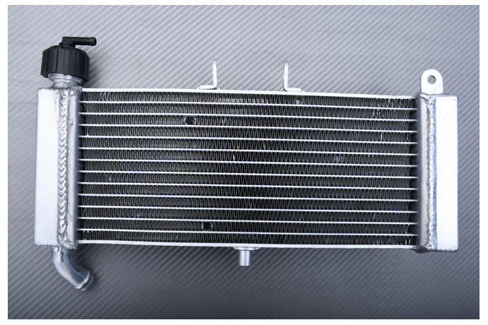 Radiateur APRILIA TUONO / RS4 / DERBI GPR 50 125 2009 - 2022