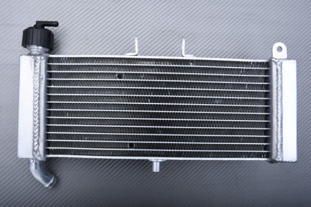 Radiateur APRILIA TUONO / RS4 / DERBI GPR 50 125 2009 - 2022
