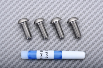 Vis en titane pour disque de frein avant spécifique pour BMW M8 X P1.25 X 20 MM