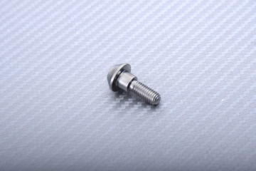 Tornillos de titanio para discos de freno trasero específicos para YAMAHA M6 X P1.00 X 20 MM