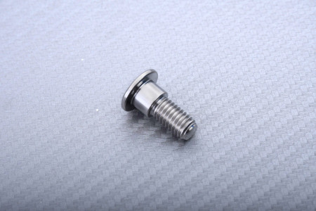 Vis en titane pour disque de frein avant spécifique pour SUZUKI M8 X P1.25 X 21 MM