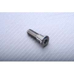 Vis en titane pour disque de frein avant spécifique pour SUZUKI M8 X P1.25 X 33 MM