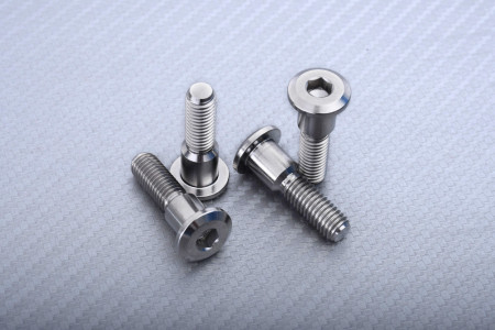 Titan Bremsscheibenschraube vorne spezifisch für SUZUKI M8 X P1.25 X 33 MM