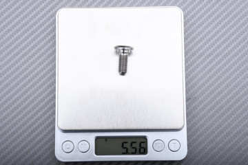 Titanium Screw for Front Brake Disc specific for Triumph M8 X P1.25 X 18 MM