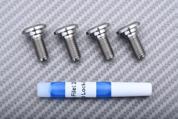Titanium Screw for Rear Brake Disc specific for Triumph M8 X P1.25 X 18 MM