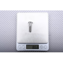 Titanium Screw for Front Brake Disc specific for Triumph M8 X P1.25 X 30 MM