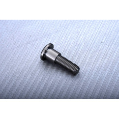 Titanium Screw for Front Brake Disc specific for Triumph M8 X P1.25 X 30 MM