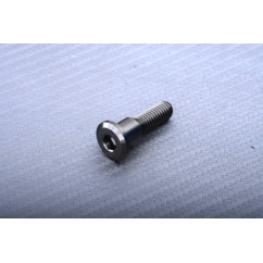 Titanium Screw for Front Brake Disc specific for Triumph M8 X P1.25 X 30 MM