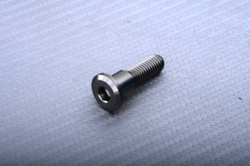 Tornillos de titanio para discos de freno trasero específicos para Triumph M8 X P1.25 X 18 MM Tornillos de titanio para discos de freno trasero específicos para Triumph M8 X P1.25 X 18 MM