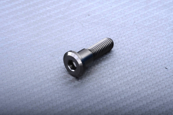 Vis en titane pour disque de frein arrière spécifique pour Triumph M8 X P1.25 X 30 MM