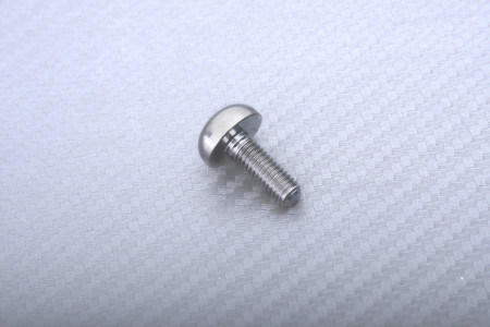 Vis en titane pour disque de frein avant spécifique pour HONDA M6 X P1.00 X 17 MM