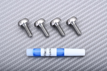 Vis en titane pour disque de frein arrière spécifique pour HONDA M6 X P1.00 X 17 MM