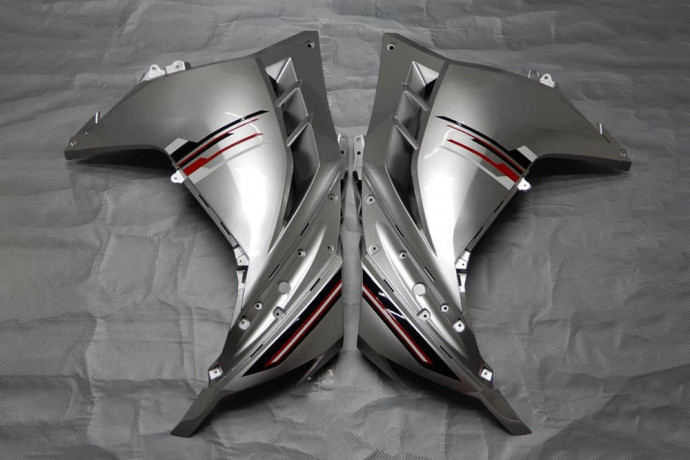 Carena completa KAWASAKI NINJA 300 R 2013 - 2017 Carena completa KAWASAKI NINJA 300 R 2013 - 2017