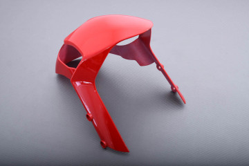 Front Mudguard DUCATI MONSTER 696 / 796 / 1100 / EVO 2008 - 2014