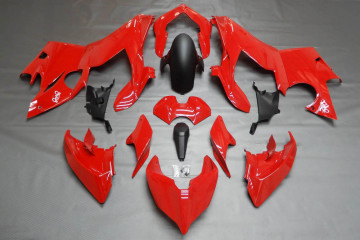 Carénage complet DUCATI Panigale V4 / V4S / V4R 2018 - 2021 Carénage complet DUCATI Panigale V4 / V4S / V4R 2018 - 2021