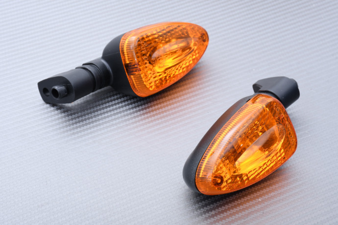 Hintere Blinker Original Typ BMW R1200R / R1200GS / R1200RS / R1250R / R1250RS / R1250GS / R NINET / HP2