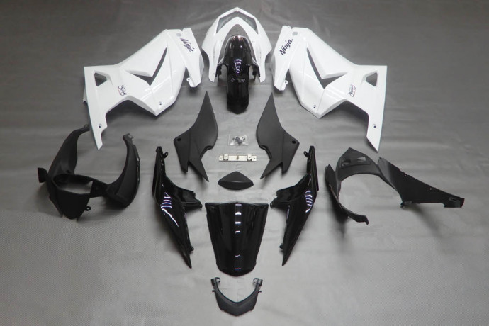 Komplette Motorradverkleidung KAWASAKI NINJA 250 R 2008 - 2012